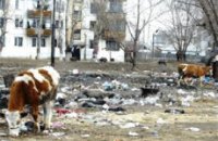 Почему не торговали? 