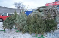 Пункти утилізації новорічних ялинок у Києві запрацюють 4 січня (мапа)