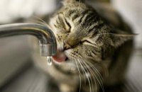 Мешканців Миколаєва закликали зробити запаси води