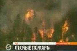 В США бушуют лесные пожары 