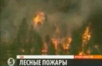 В США бушуют лесные пожары 