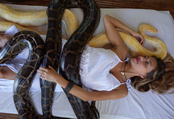 Регина Тодоренко в окружении огромных змей