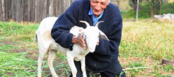 74-летний житель Бразилии решил жениться на козе 