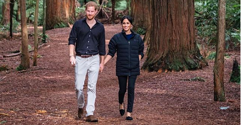Принц Гарри снял беременную Меган в древнем лесу 