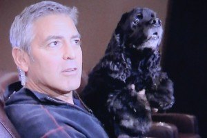 Ди Каприо досталось от Джорджа Клуни