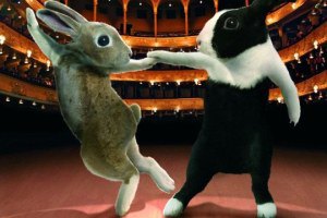 Кролики на танцполе