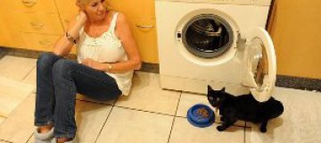 Черная кошка чудом выжила после стирки в машинке 