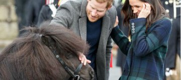 Шотландский пони укусил принца Гарри