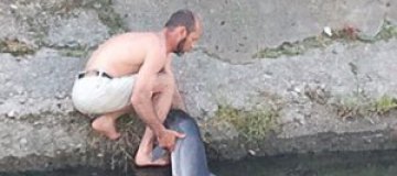 В Керчи из реки вытащили дельфина