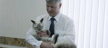 Екатеринбургский кот-политик провел встречу с мэром