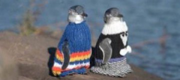 Cвяжи свитер — спаси пингвина