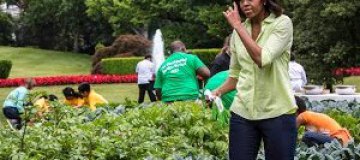 Мишель Обама забросила свой огород из-за бюджетного кризиса