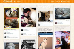 Создана кошачья социальная сеть