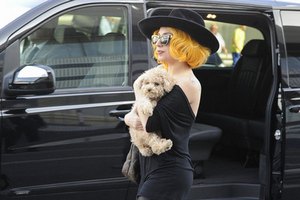 Леди Гага примирилась с бывшей помощницей