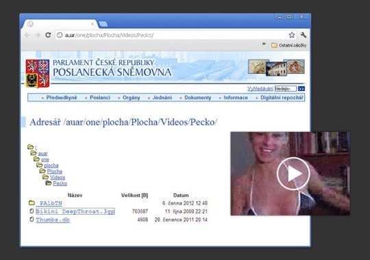 Сайт парламента Чехии