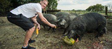 Экс-динамовец Домагой Вида решил разводить свиней