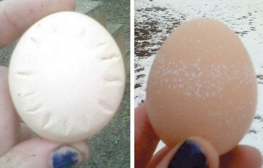 Солнечное (слева) и снежное (справа) яйца 