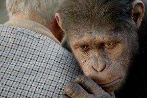 Японским макакам показали "Восстание планеты обезьян"