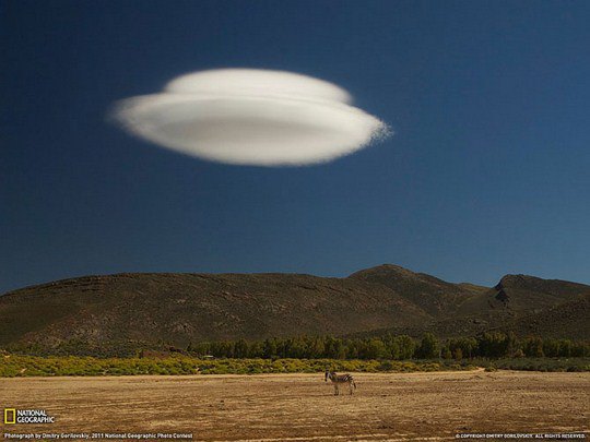 Зебра и удивительное облако, Южная Африка
