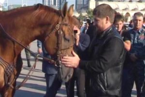 Чеченский лидер Рамзан Кадыров обзавелся табуном лошадей