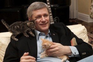 Премьер-министр Канады выбрал имя для нового котенка