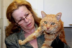 Кот вернулся к своей хозяйке спустя 16 лет 