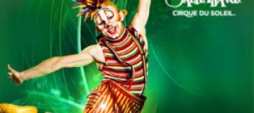Участники Cirque du Soleil: "Риск – это часть нашей профессии"