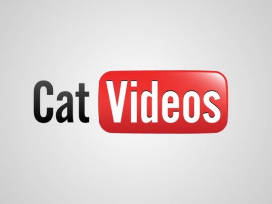 Интернет-хостинг видеоматериалов Youtube. Перевод: &quot;Видео о котиках&quot;