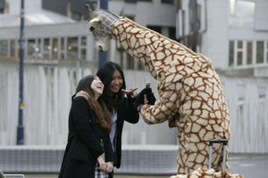 В Шотландии появился "жираф доброты"